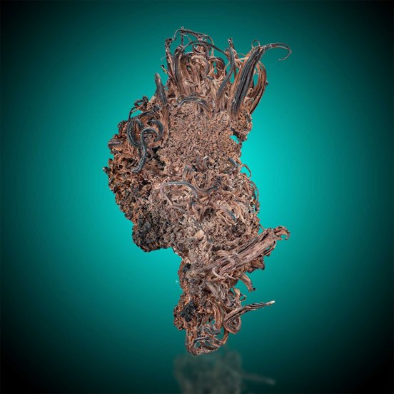 Silver-Schlema | Erzgebirge | Saxony | Germany